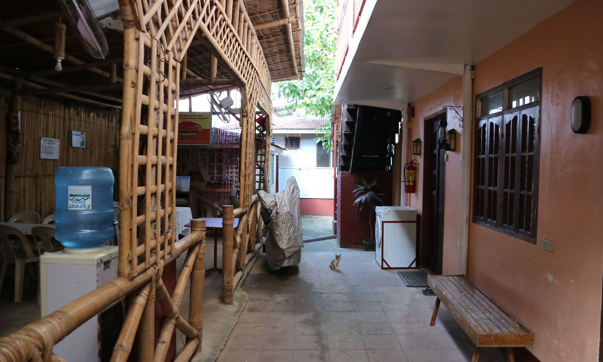Almonte Transient Hostel Puerto Princesa Ngoại thất bức ảnh